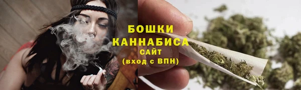 гидра Арсеньев