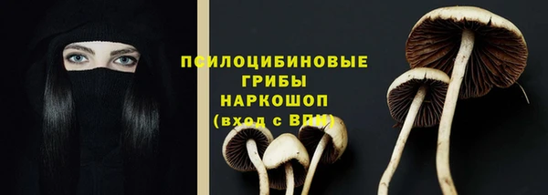 гидра Арсеньев