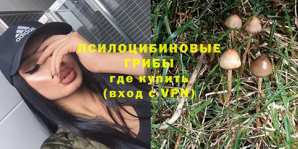 гидра Арсеньев