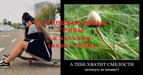 прущие грибы Армянск