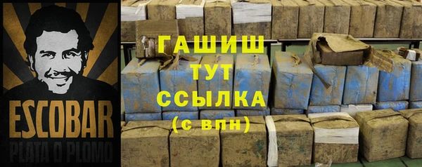 прущие грибы Армянск