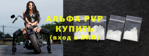 гидра Арсеньев