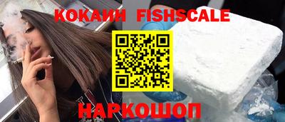 спиды Камышлов