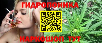 твердый Канаш