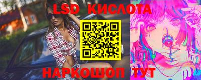 спиды Камышлов