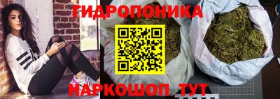 спиды Камышлов