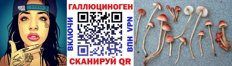 Псилоцибиновые грибы прущие грибы  Полысаево 