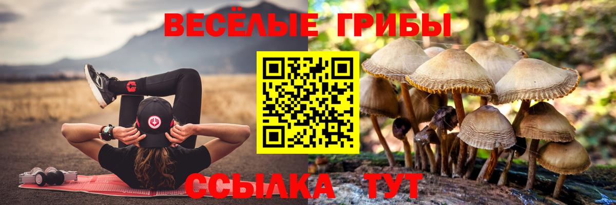 Полысаево  Галлюциногенные грибы Cubensis  Вход с VPN 